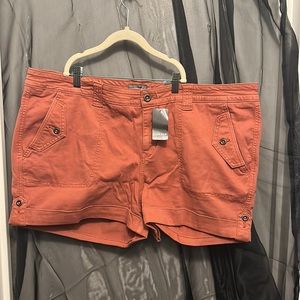 Torrid Size 22 Shorts!